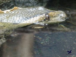 Tiergarten Schönbrunn am 05.03.2026